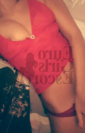 Ilse tantra massage in Forest City, escort